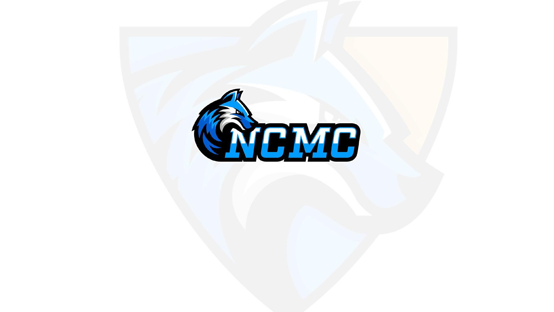 21 Student-Athletes & 3 Timberwolves Team Earn MCCAA Academic Honors